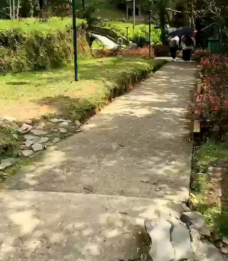 Sendero de piedra entre jardines y flores rojas
